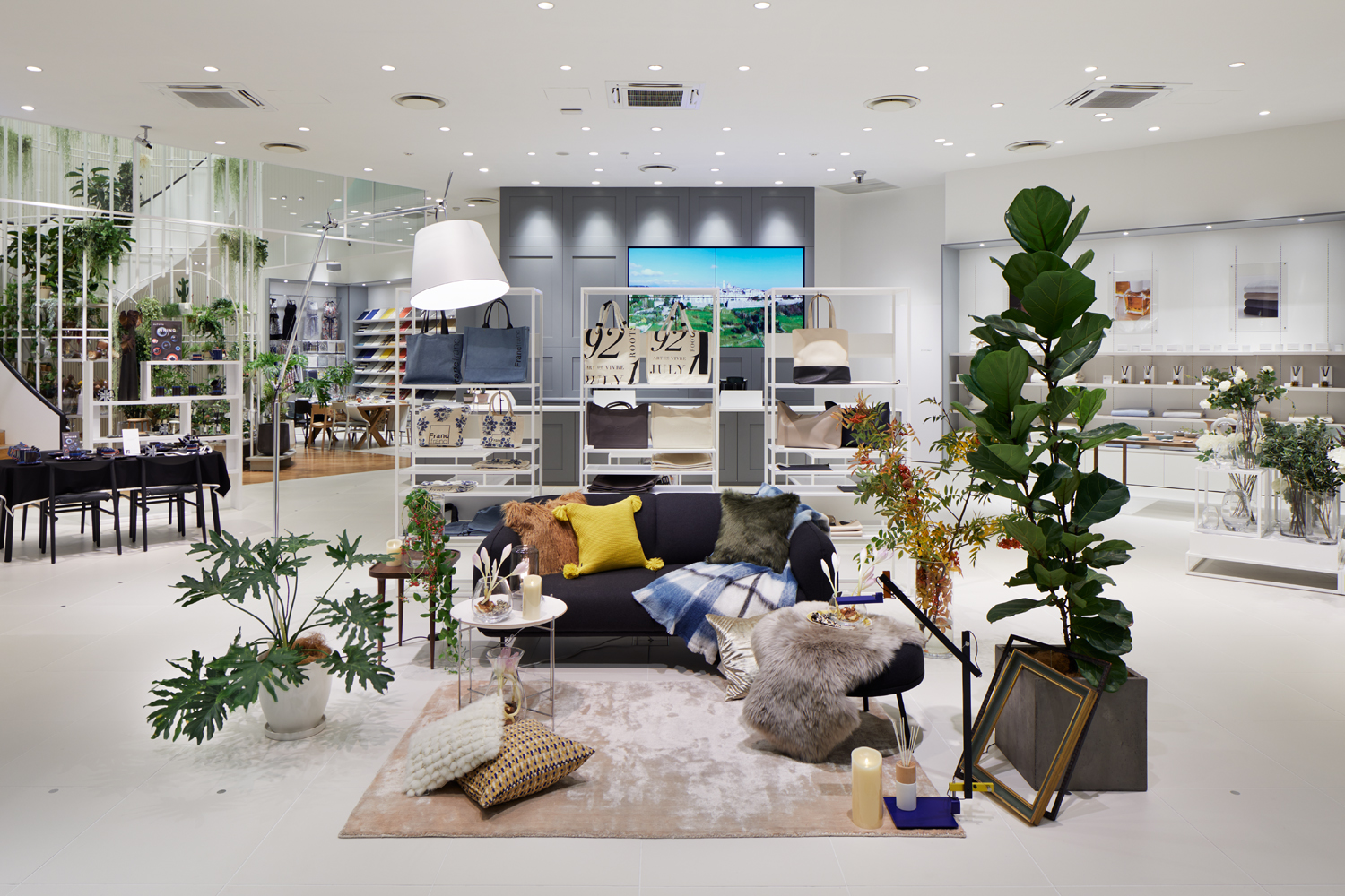 Francfranc 青山店2